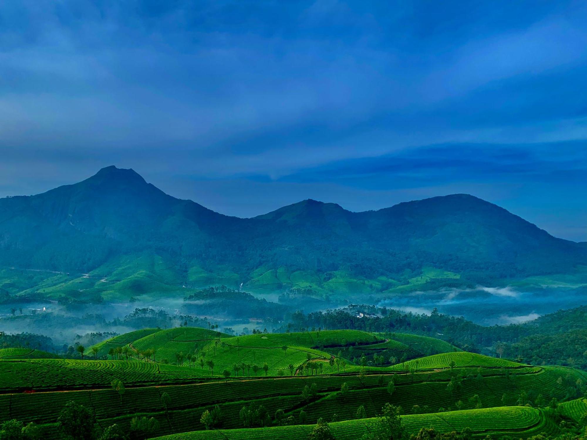 Lockhart - A Cgh Earth Saha Experience Homestay Munnar