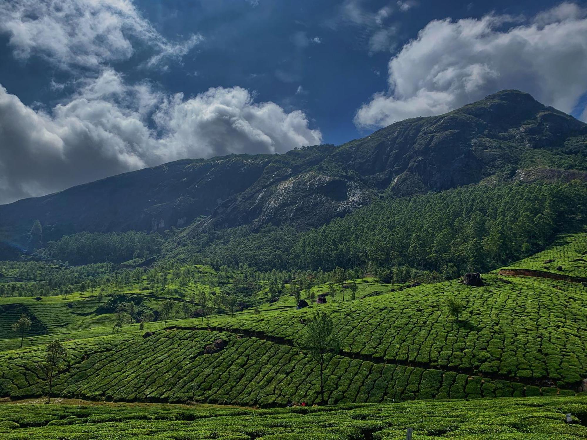 Homestay Lockhart - A Cgh Earth Saha Experience Munnar