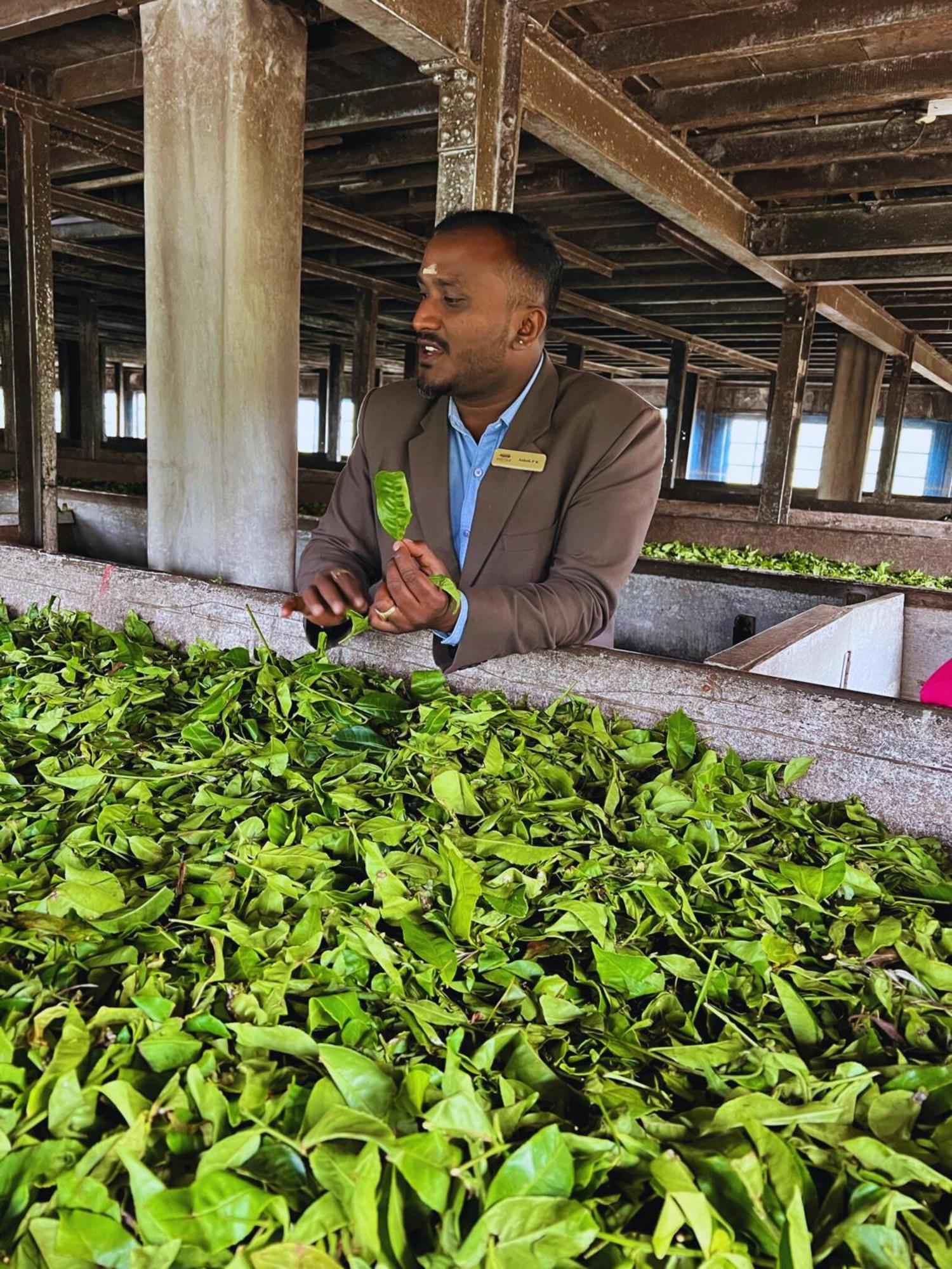 Lockhart - A Cgh Earth Saha Experience Munnar